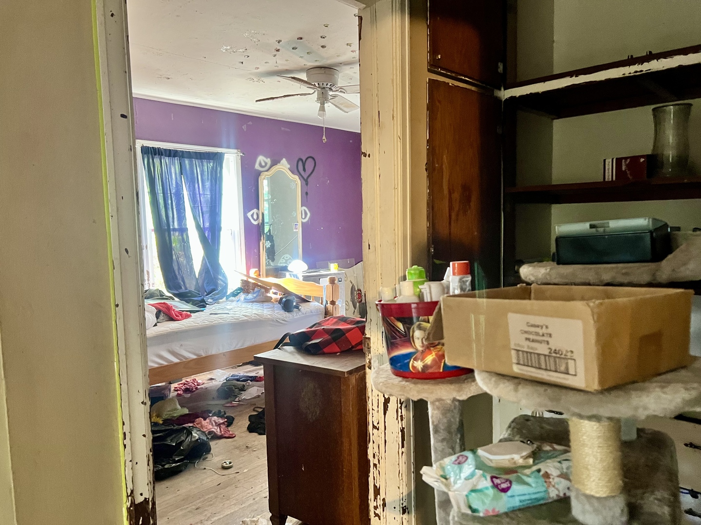 202 Clark Street Sidell, IL 61876 - Photo 5 of 17 a view of storage and utility room
