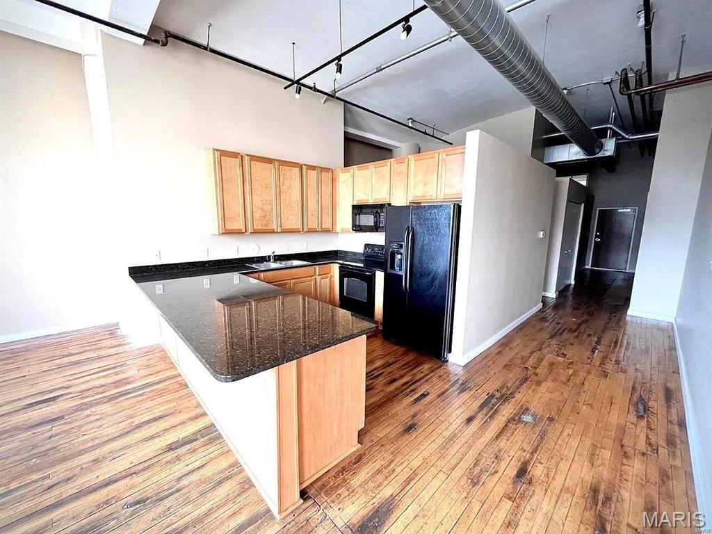 1520 Washington Avenue, Unit R616 St. Louis, MO 63103 - Photo 2 of 17