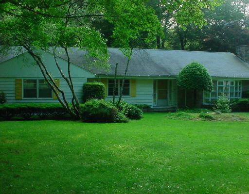 a backyard of a house with plants and large tree
