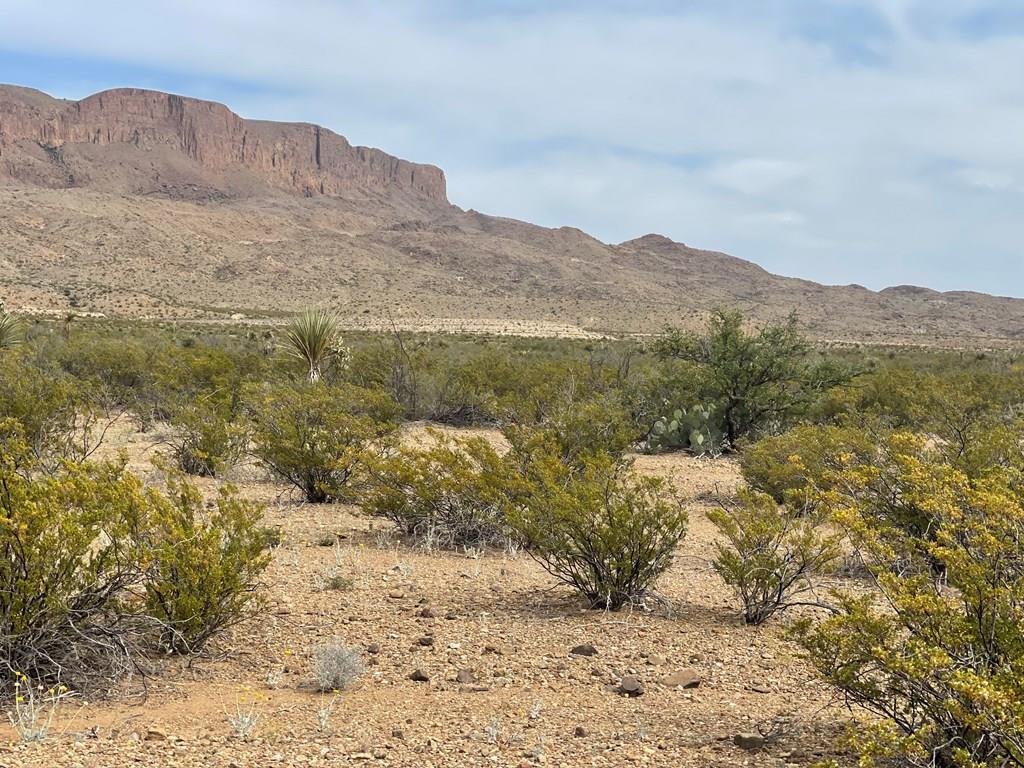 4749 Private Road Alpine, TX 79830 - Photo 1 of 1 Main View