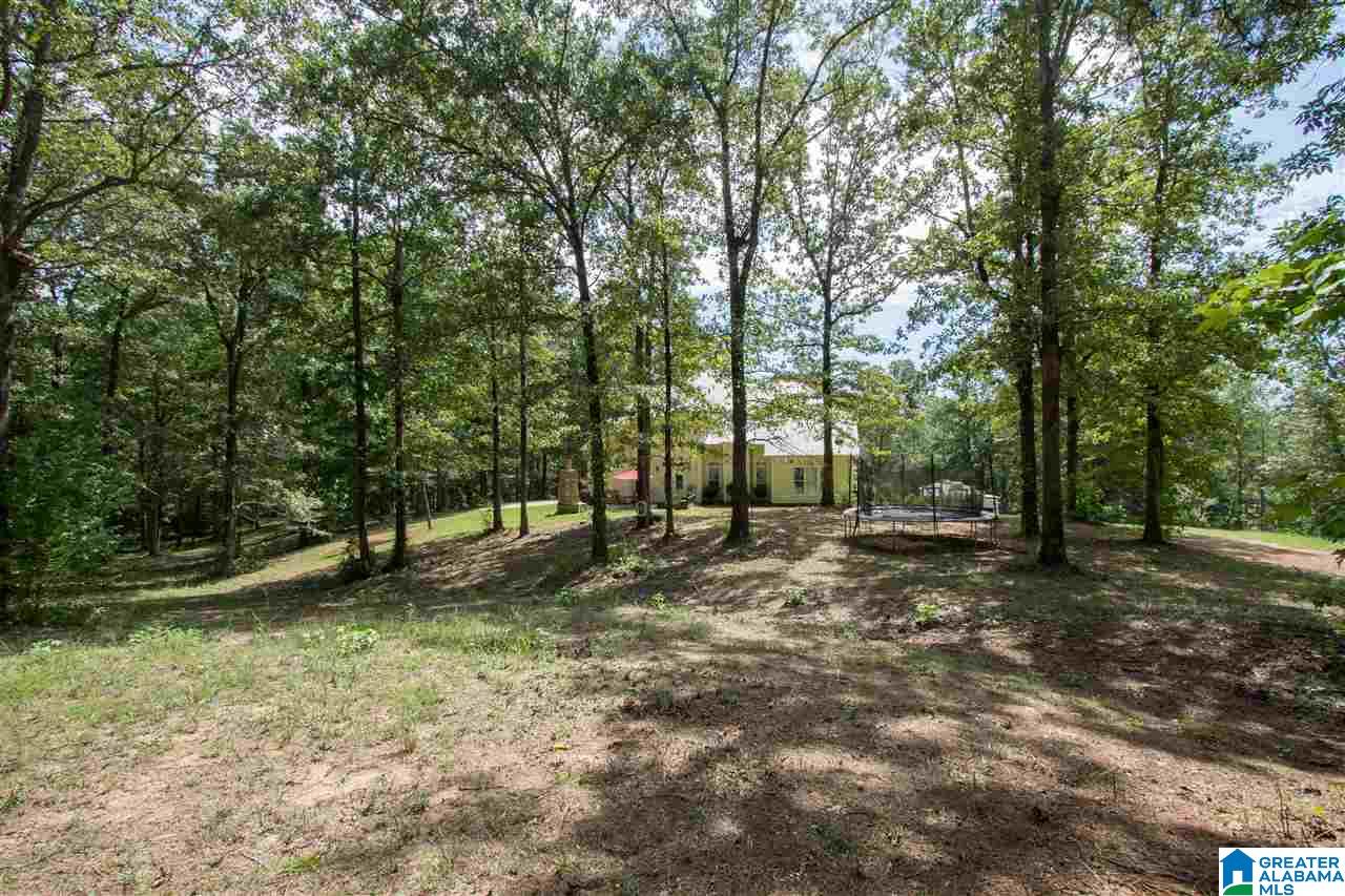 674 Griffin Road Chelsea, AL 35043 - Photo 46 of 50