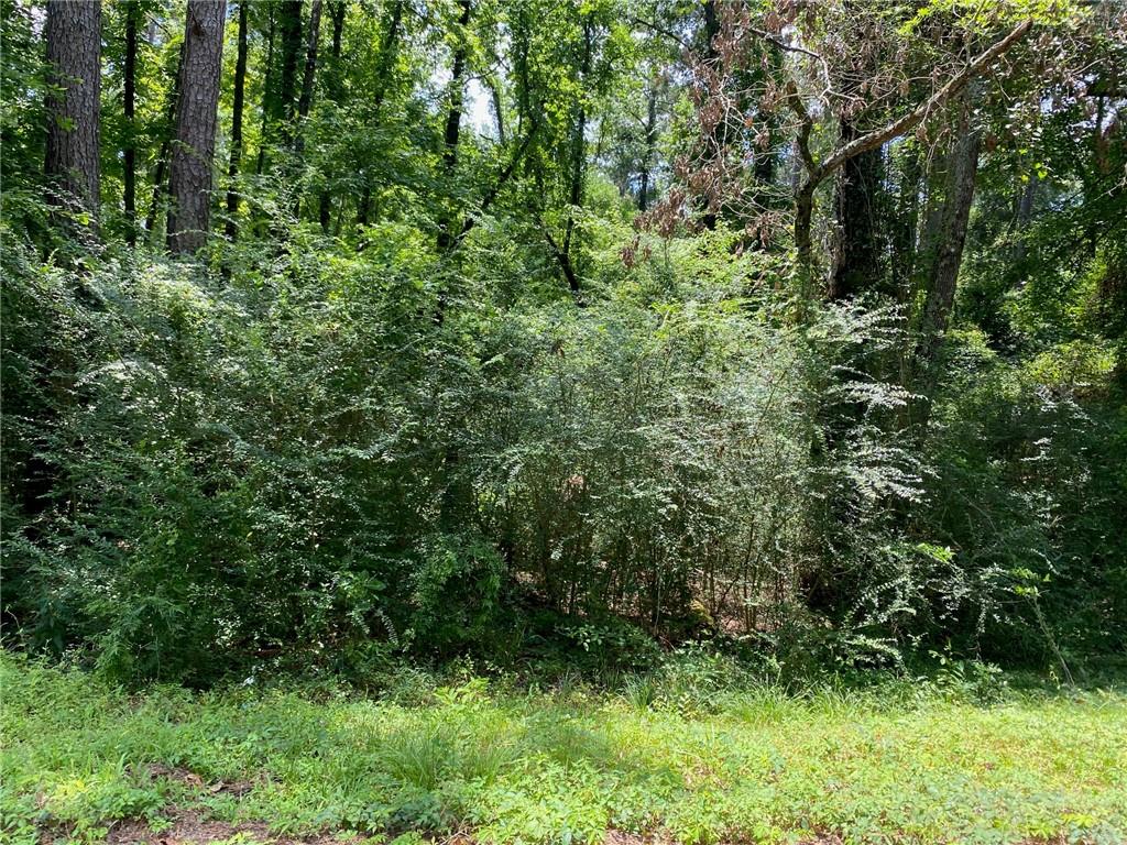 0 Handley Loop Pineville, LA 71360 - Photo 3 of 4