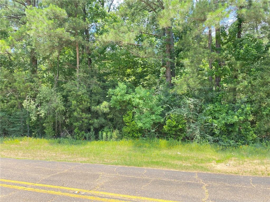 0 Handley Loop Pineville, LA 71360 - Photo 4 of 4