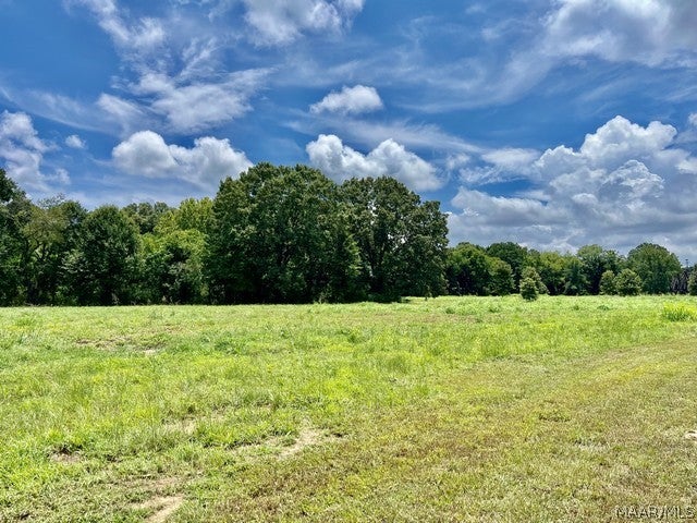 1130 Jackson Lake Road Millbrook, AL 36054 - Photo 6 of 22 Gallery Image 6