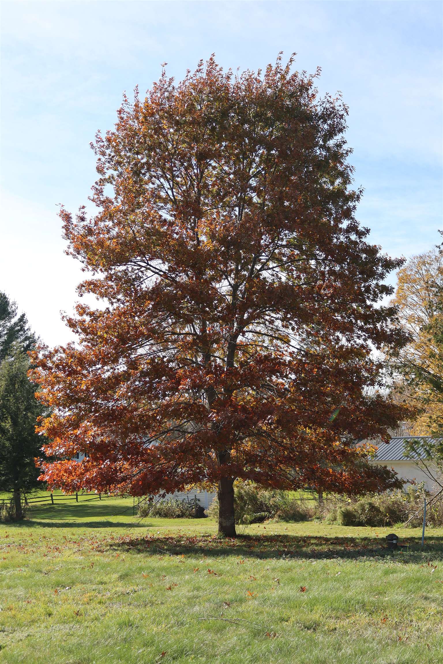 192 Nichols Road Barre Town, VT 05641 - Photo 9 of 40