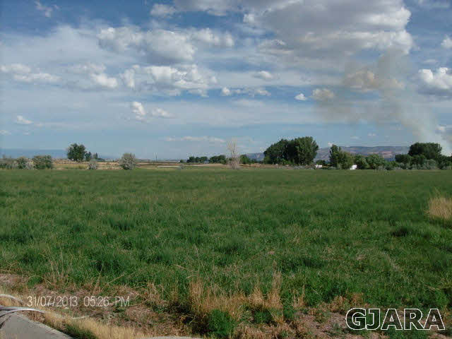 1161 Q Road Mack, CO 81525 - Photo 3 of 6 a view of a bunch of grassy field
