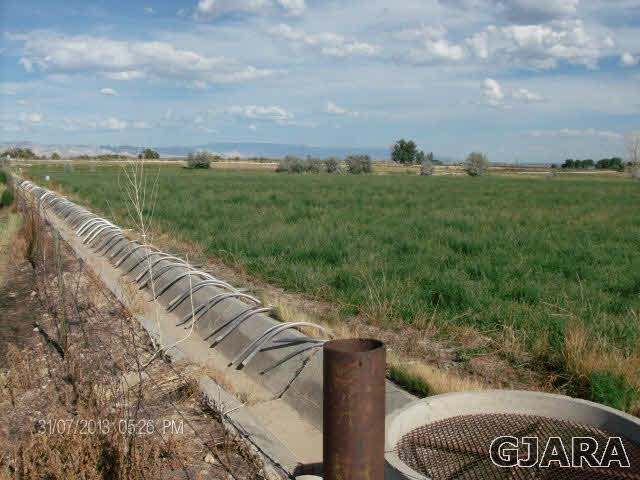 1161 Q Road Mack, CO 81525 - Photo 5 of 6 a view of a street with a yard