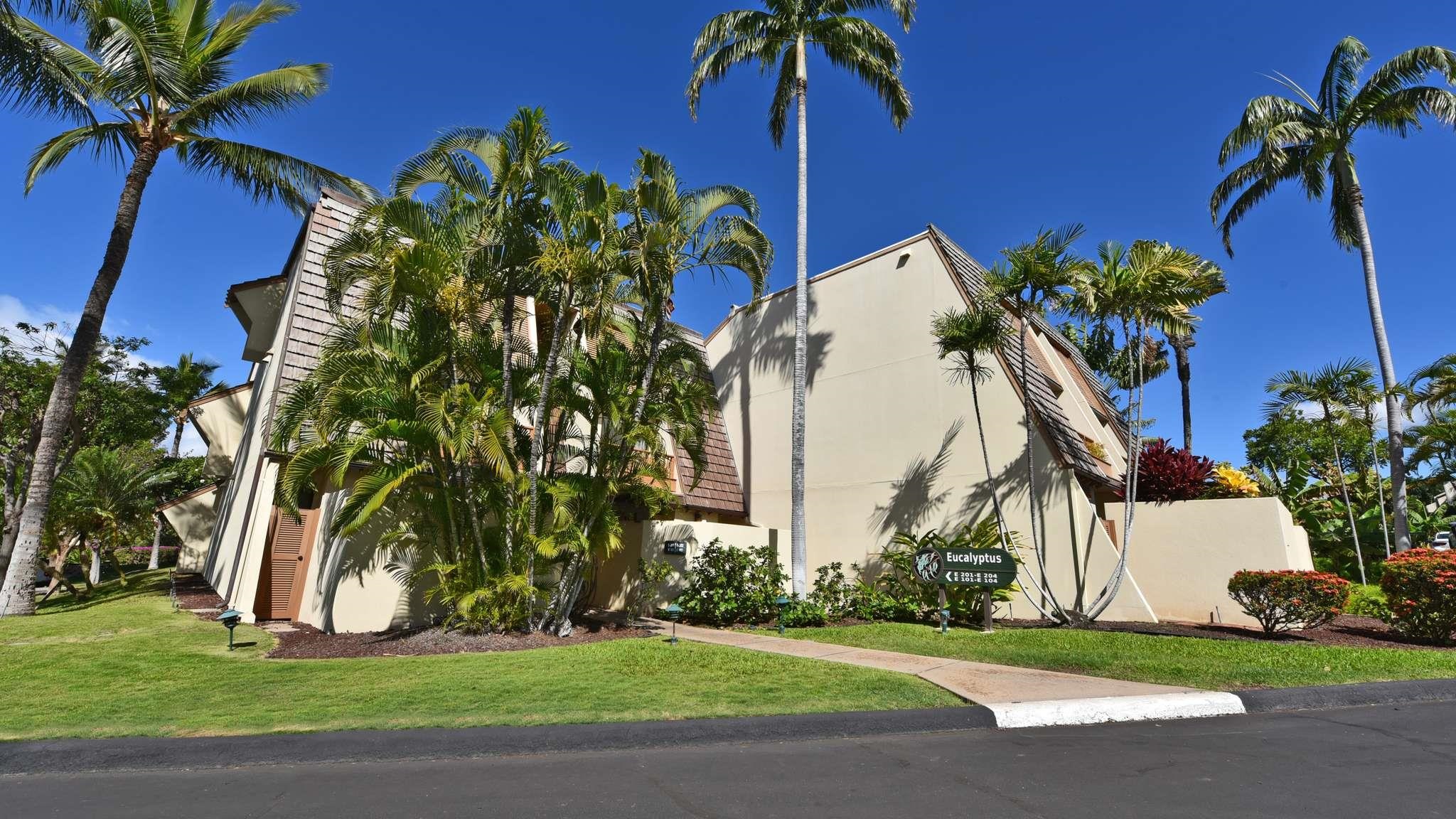 2777 South Kihei Road, Unit E202 Kihei, HI 96753 - Photo 37 of 37 a view of a palm trees in front of a building