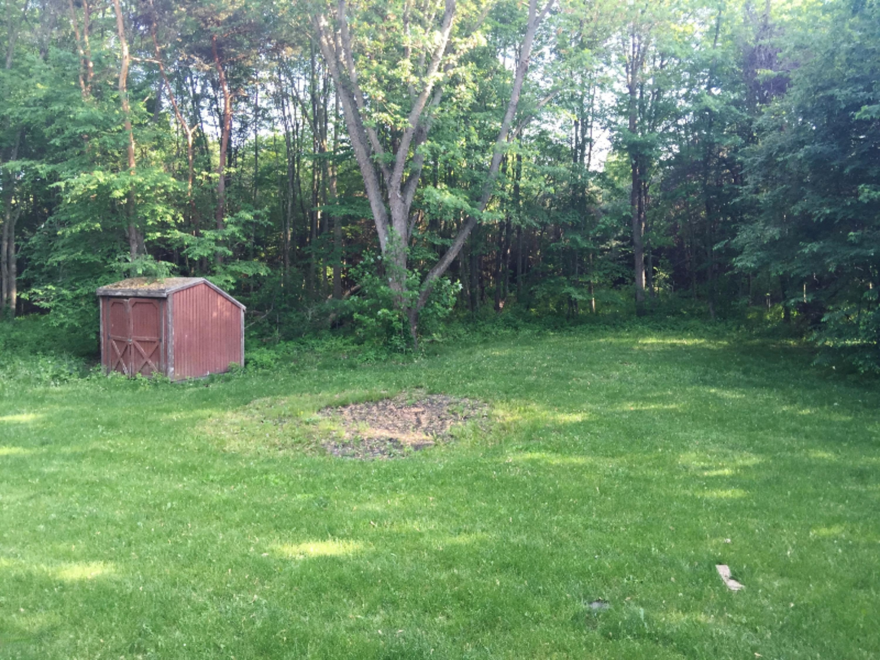 1800 West Shawnee Road Baroda, MI 49101 - Photo 13 of 13 IMG_1229