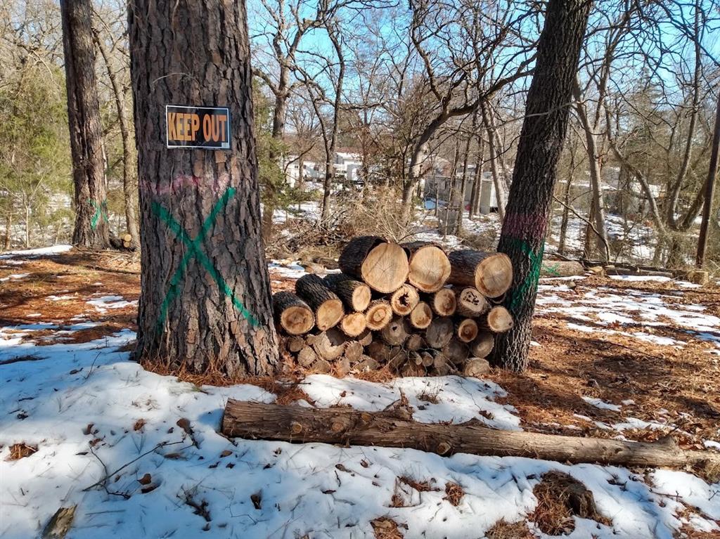295 James Fannin Road Honey Grove, TX 75446 - Photo 11 of 30 a view of a wooden fence with some trees