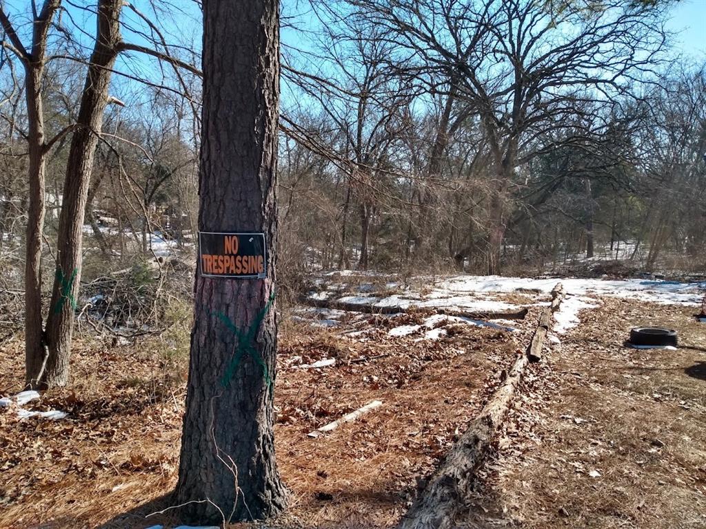 295 James Fannin Road Honey Grove, TX 75446 - Photo 12 of 30 a view of snow on the side of a road