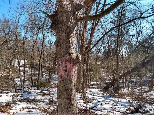 $27,500 | 295 James Fannin Road, Honey Grove, TX 75446