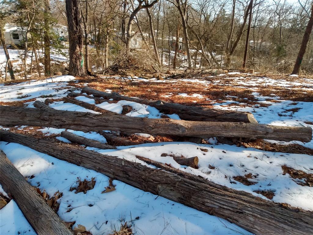 295 James Fannin Road Honey Grove, TX 75446 - Photo 16 of 30 a view of a backyard of the house