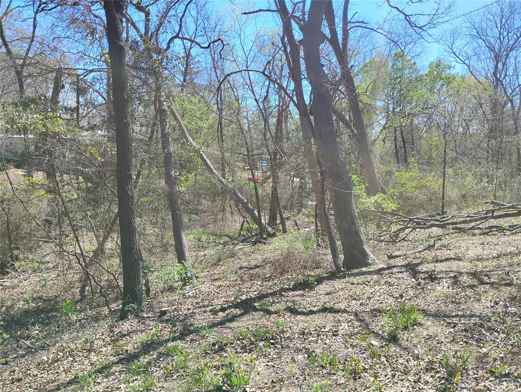 295 James Fannin Road Honey Grove, TX 75446 - Photo 19 of 30 a backyard of a house with lots of green space