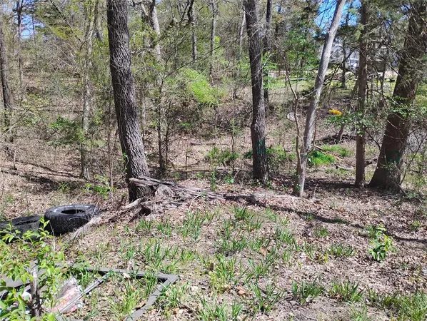 $27,500 | 295 James Fannin Road, Honey Grove, TX 75446