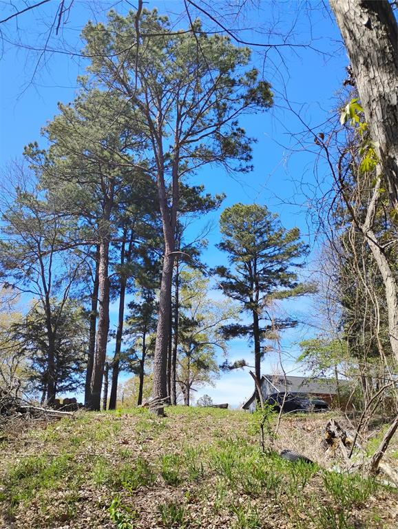 295 James Fannin Road Honey Grove, TX 75446 - Photo 2 of 30 a view of a outdoor space