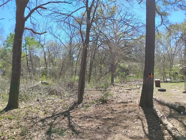 $27,500 | 295 James Fannin Road, Honey Grove, TX 75446