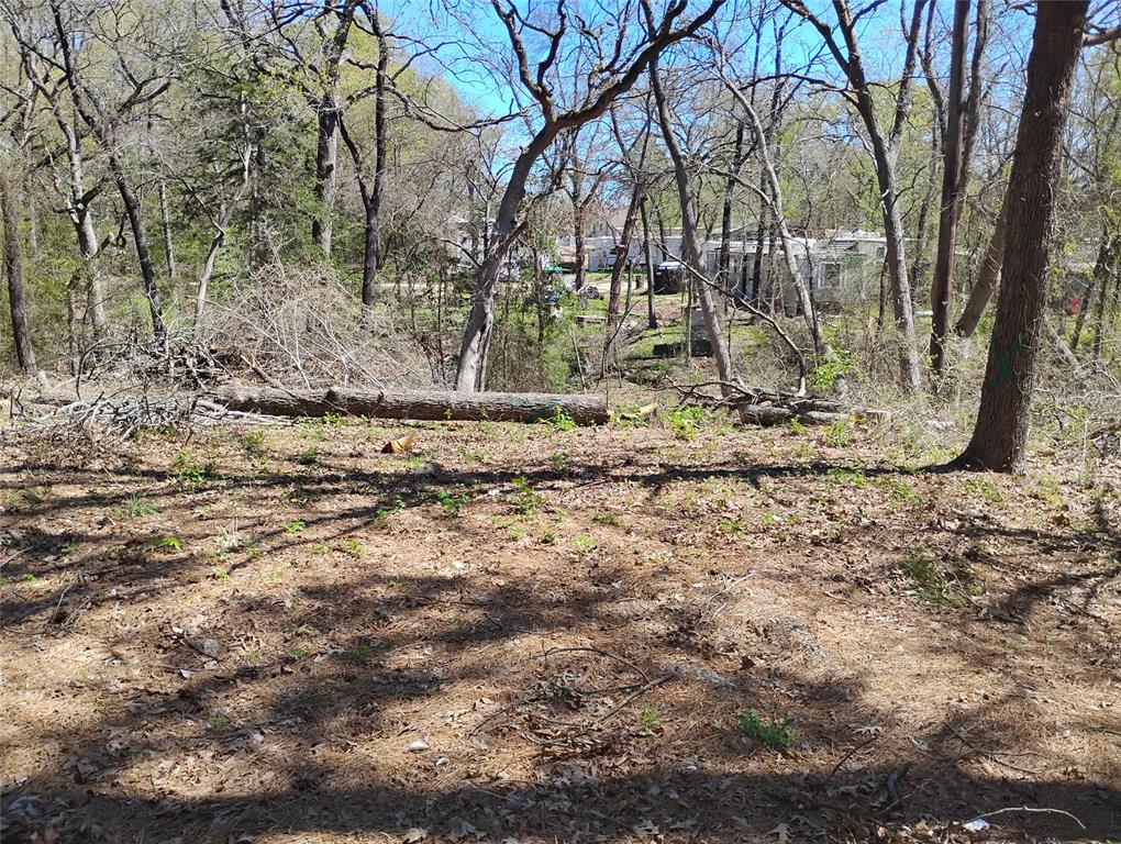 295 James Fannin Road Honey Grove, TX 75446 - Photo 22 of 30 a view of a yard with large trees