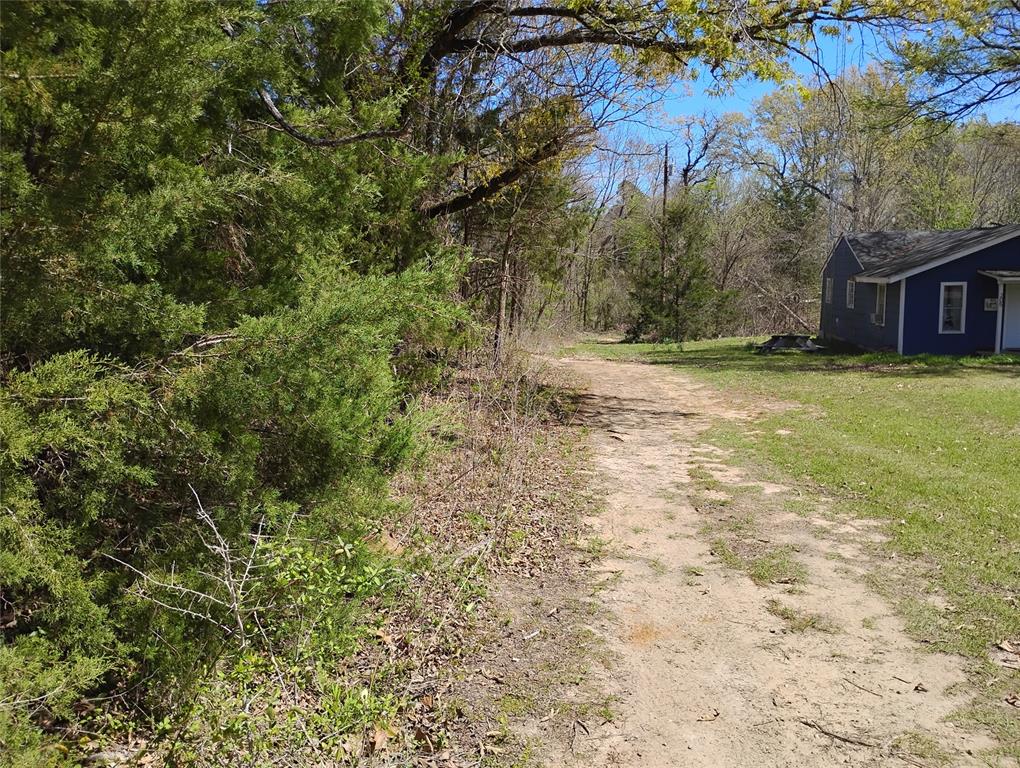 295 James Fannin Road Honey Grove, TX 75446 - Photo 24 of 30 a view of a house with a yard