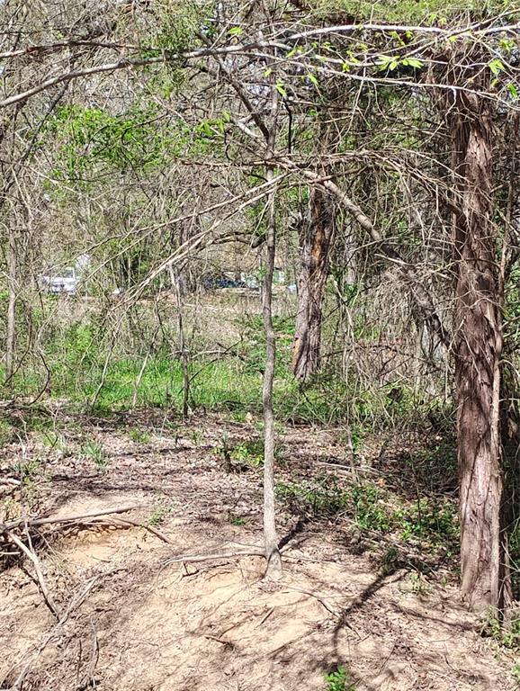 295 James Fannin Road Honey Grove, TX 75446 - Photo 25 of 30 a view of a backyard