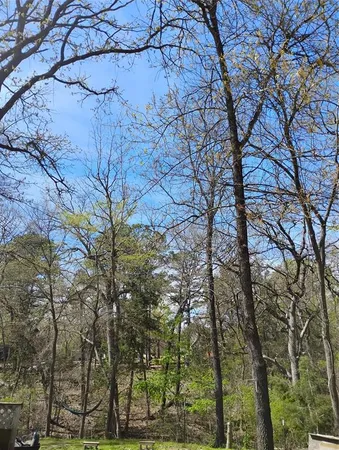 $27,500 | 295 James Fannin Road, Honey Grove, TX 75446