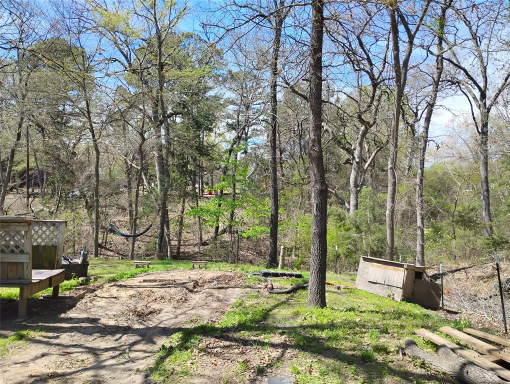 295 James Fannin Road Honey Grove, TX 75446 - Photo 28 of 30 a backyard of a house with lots of green space