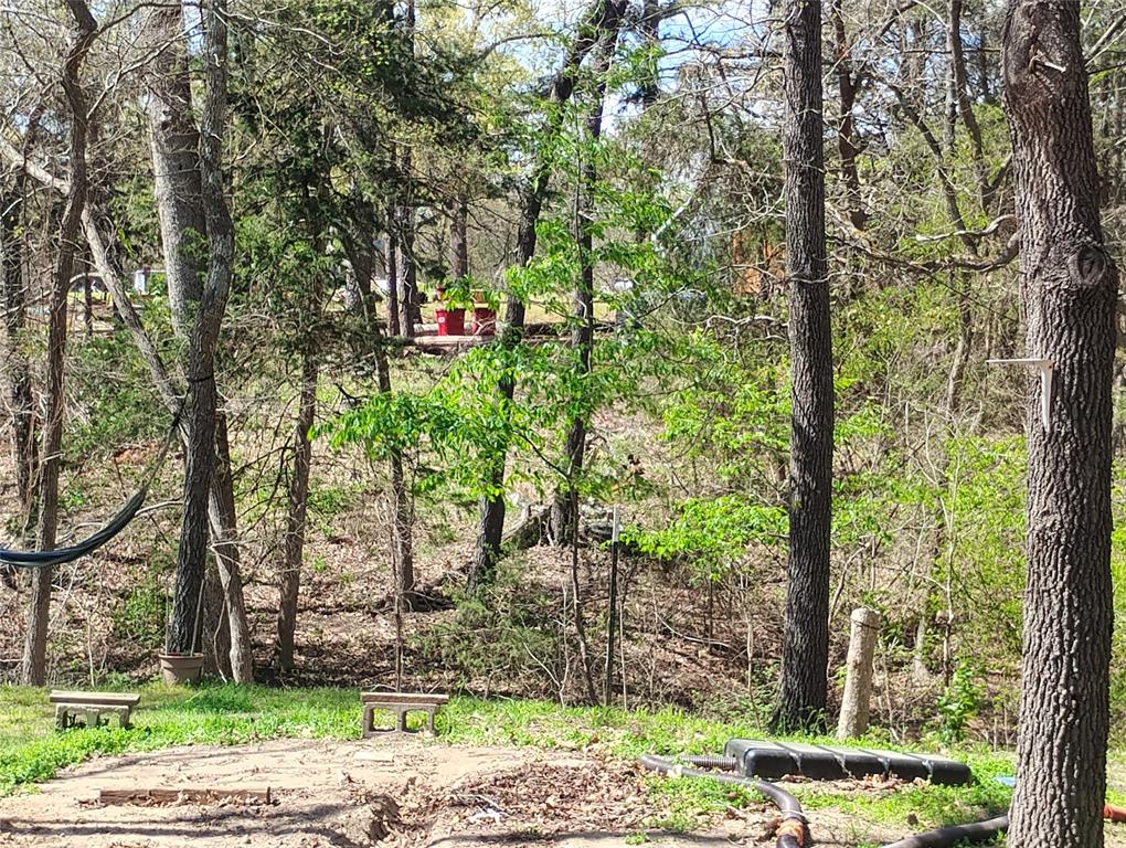 295 James Fannin Road Honey Grove, TX 75446 - Photo 29 of 30 a green field with lots of trees