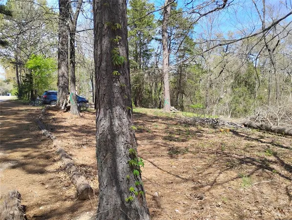 $27,500 | 295 James Fannin Road, Honey Grove, TX 75446