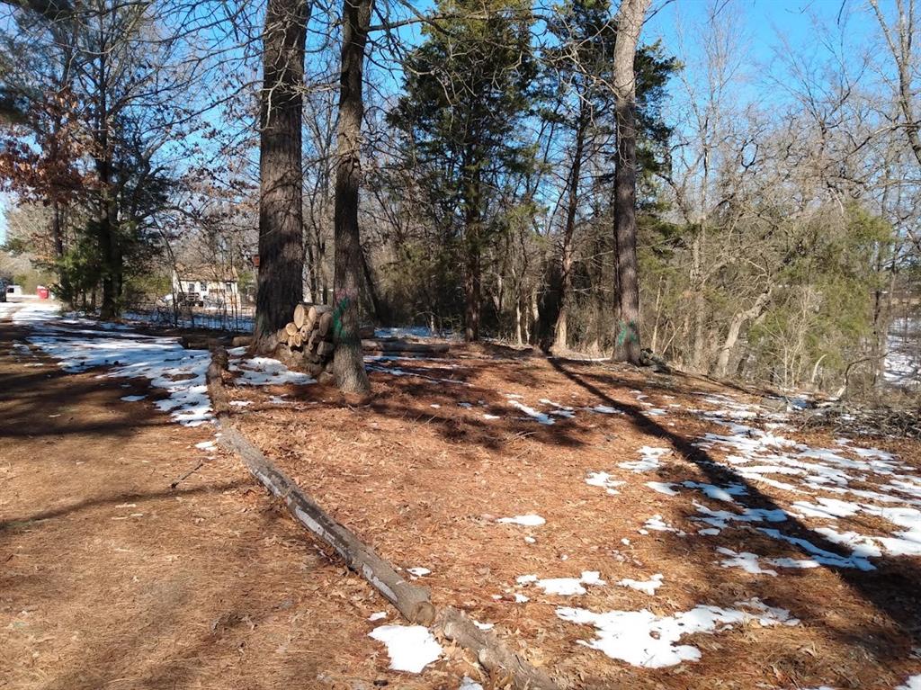 295 James Fannin Road Honey Grove, TX 75446 - Photo 7 of 30 a view of outdoor space with deck and trees
