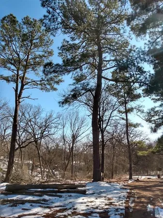 $27,500 | 295 James Fannin Road, Honey Grove, TX 75446