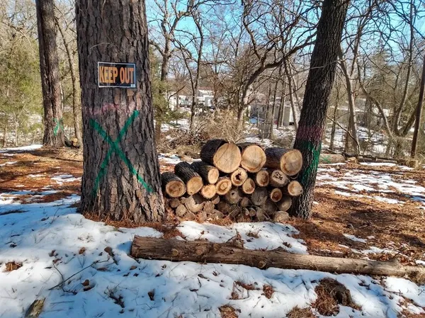 $27,500 | 295 James Fannin Road, Honey Grove, TX 75446