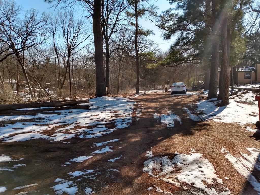295 James Fannin Road Honey Grove, TX 75446 - Photo 10 of 30 a view of a street with a row of trees