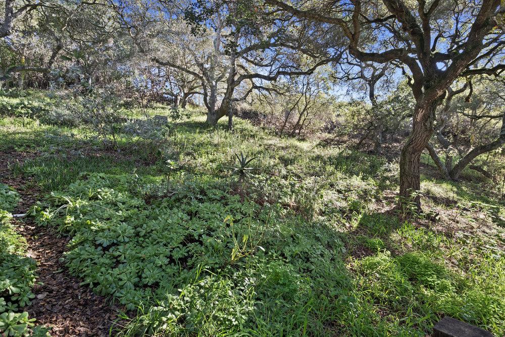 7605 Roma Place Salinas, CA 93907 - Photo 49 of 60 Gallery Image 49