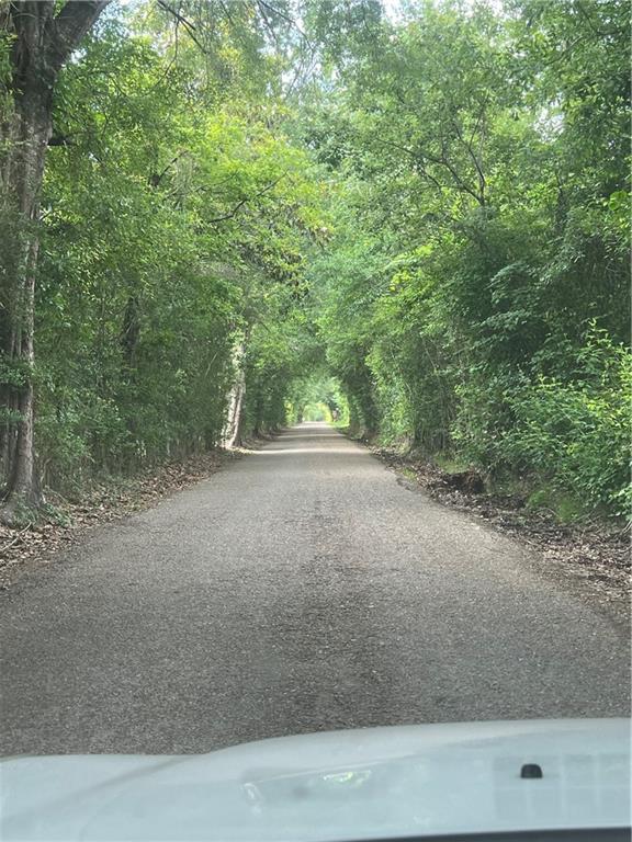 0 Starry Night Lane Folsom, LA 70437 - Photo 2 of 5