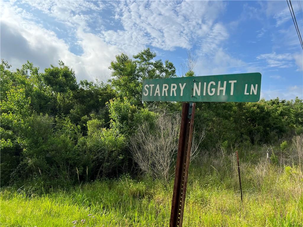 0 Starry Night Lane Folsom, LA 70437 - Photo 4 of 5