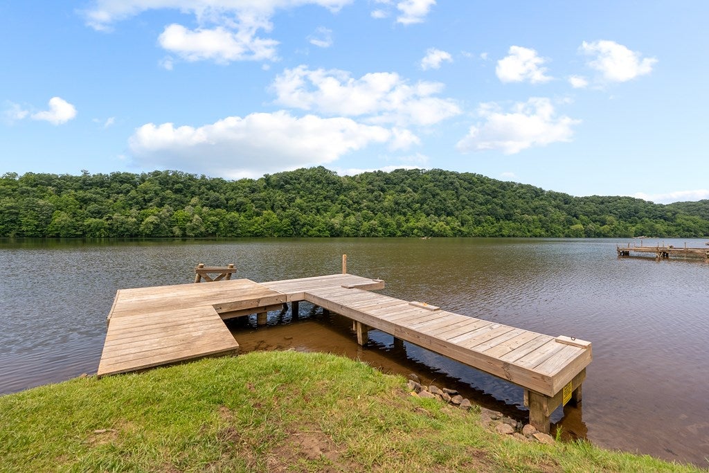 4276 Paradise Road Hiwassee, VA 24347 - Photo 8 of 29 Gallery Image 8