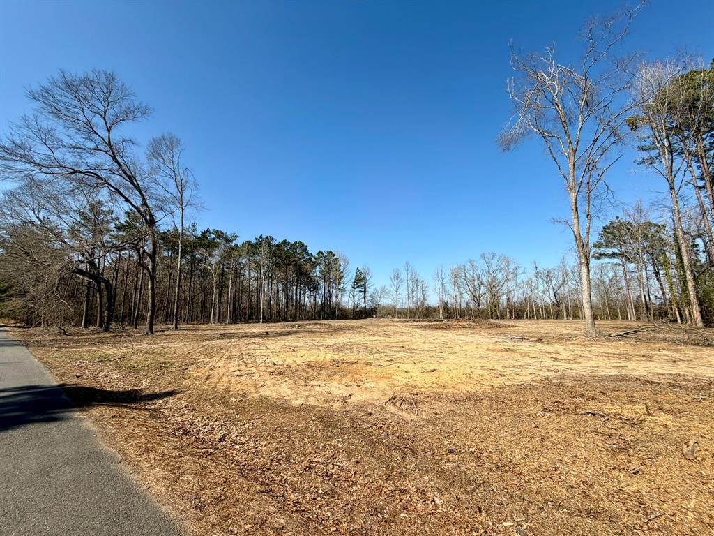 0 Ranchland Drive Grand Cane, LA 71032 - Photo 3 of 5