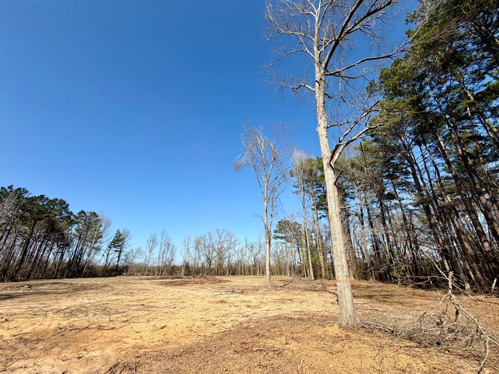 0 Ranchland Drive Grand Cane, LA 71032 - Photo 4 of 5