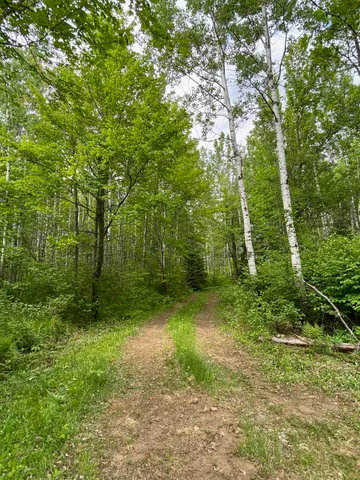 $219,900 | 1454 Town Line Road, Brimson, MN 55602