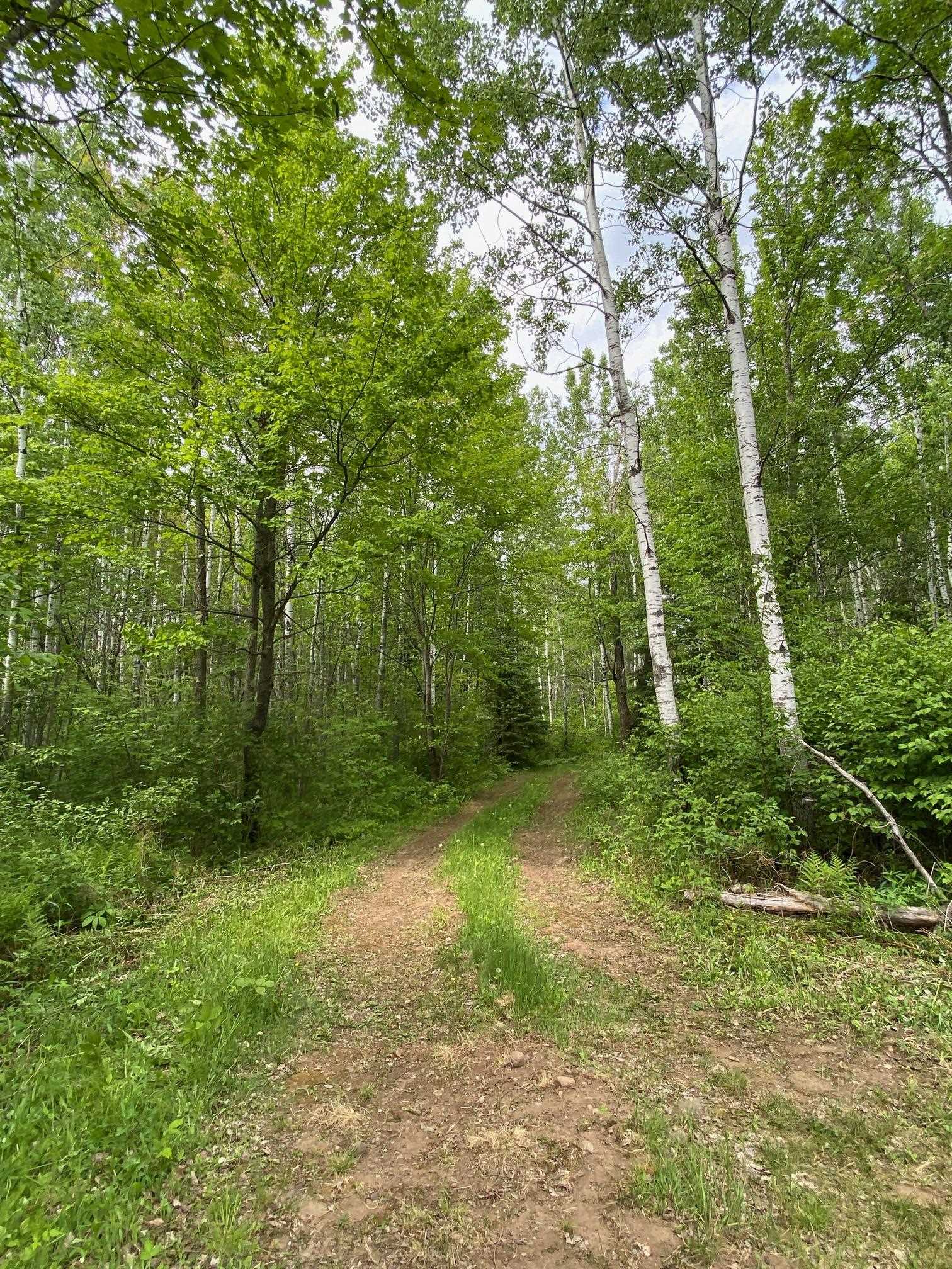 1454 Town Line Road Brimson, MN 55602 - Photo 25 of 32