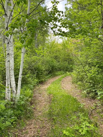 $219,900 | 1454 Town Line Road, Brimson, MN 55602