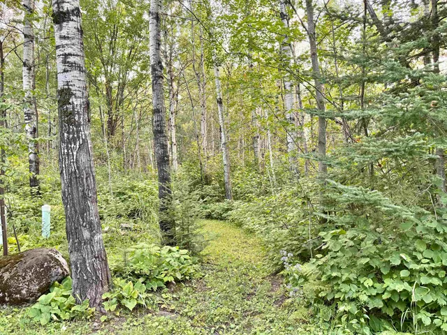 $219,900 | 1454 Town Line Road, Brimson, MN 55602