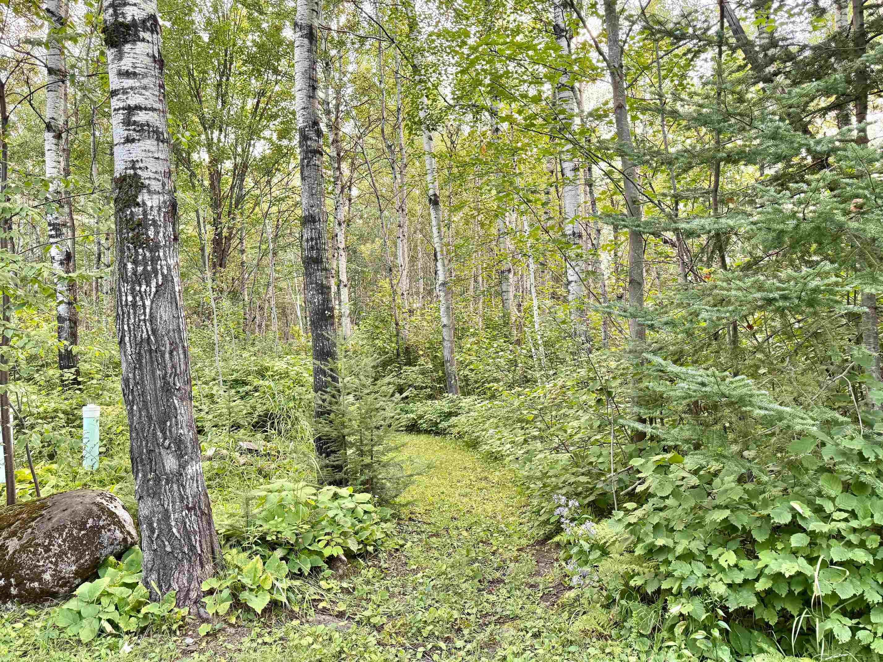 1454 Town Line Road Brimson, MN 55602 - Photo 32 of 32