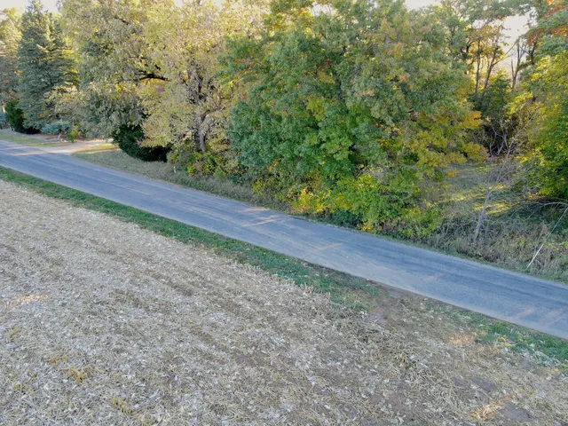 a view of a yard with plants