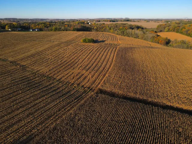 a view of an ocean beach