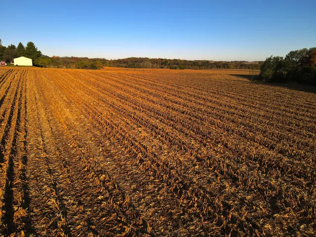 a view of lake and sunset