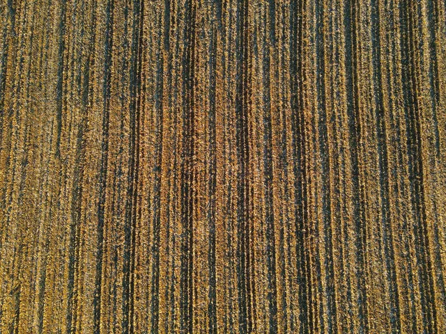 a view of a city from a black gate