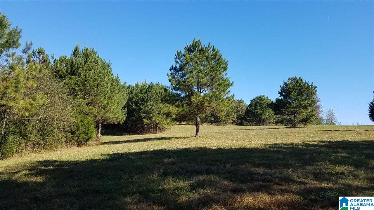 298 Bowerman Road Blountsville, AL 35031 - Photo 19 of 30