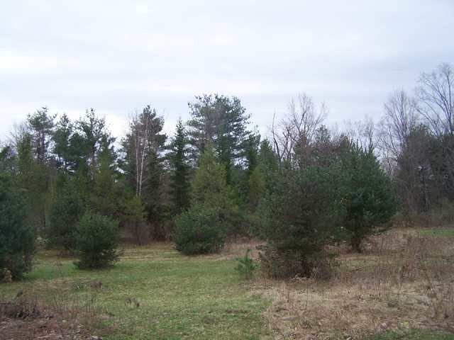 180 Riley Road Melrose, NY 12121 - Photo 1 of 2 Photo 1