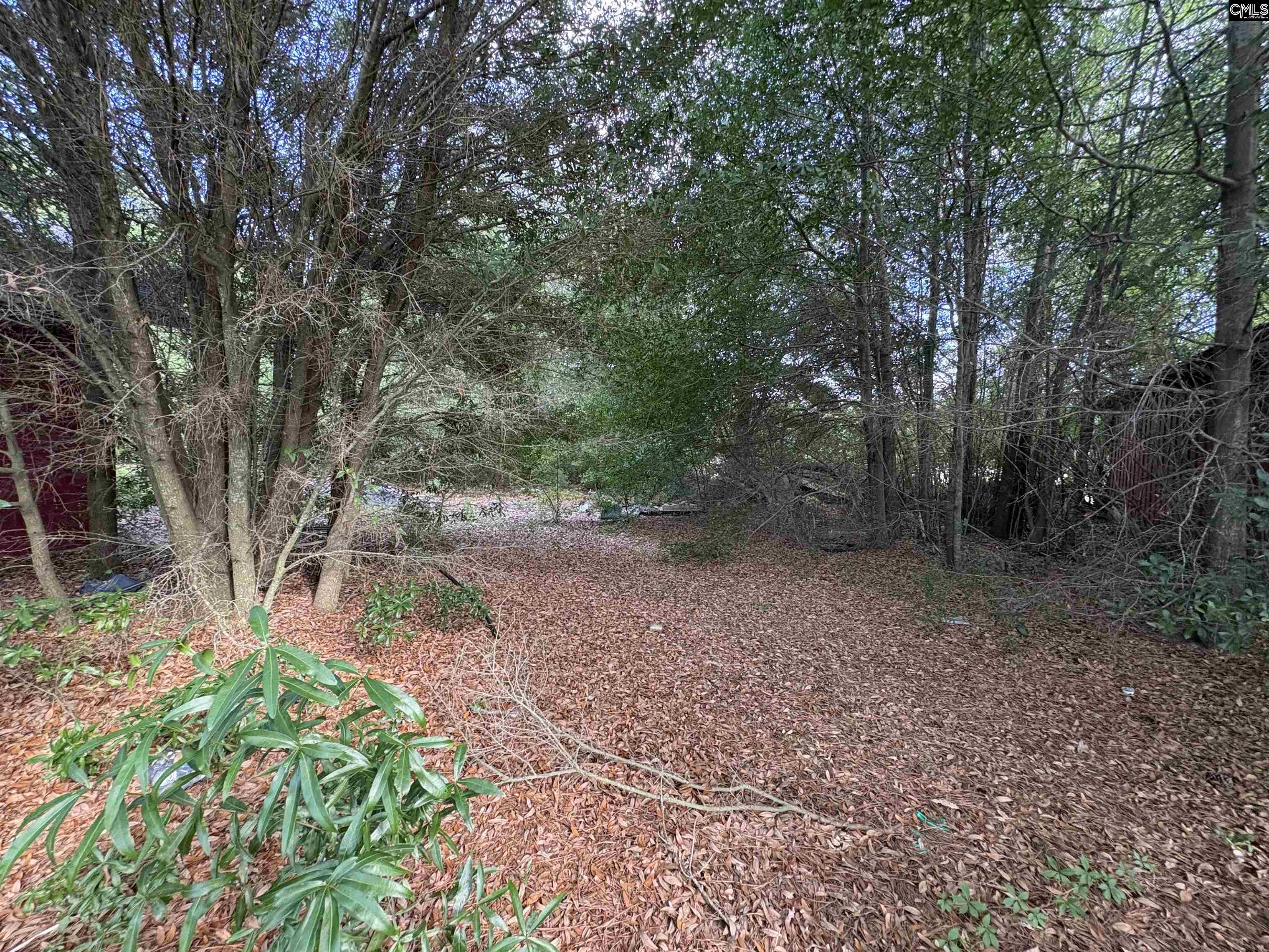 545 Flinns Road Hartsville, SC 29550 - Photo 14 of 14